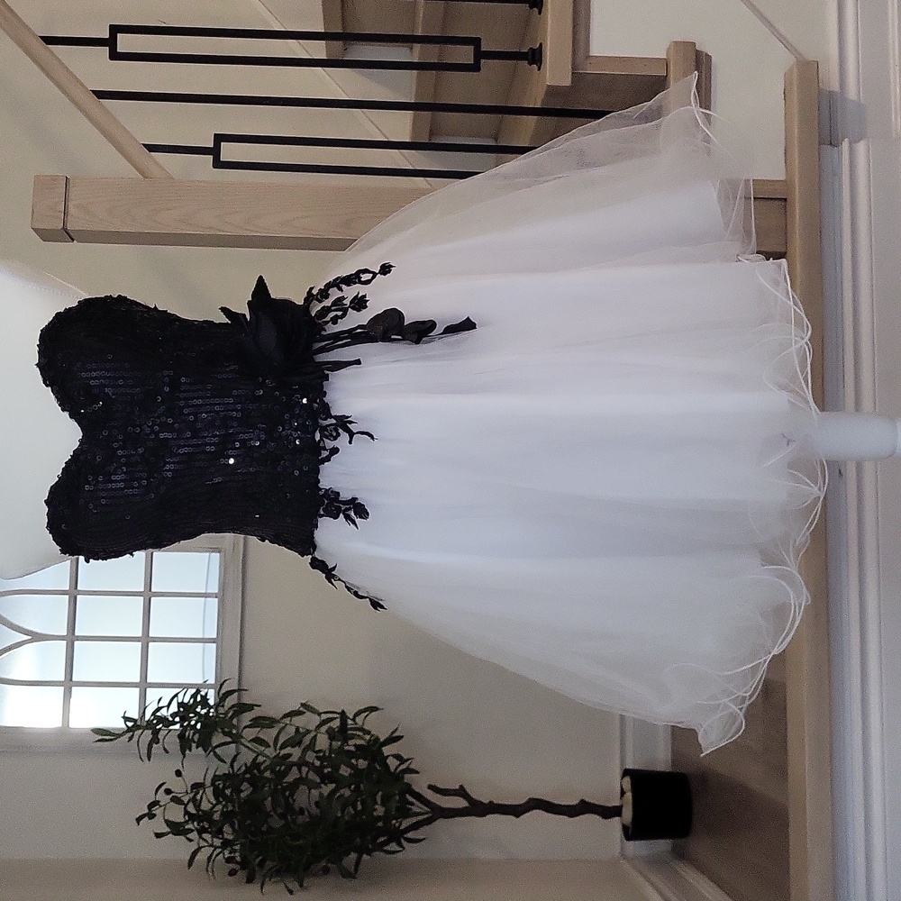 Cocktail Party Dress